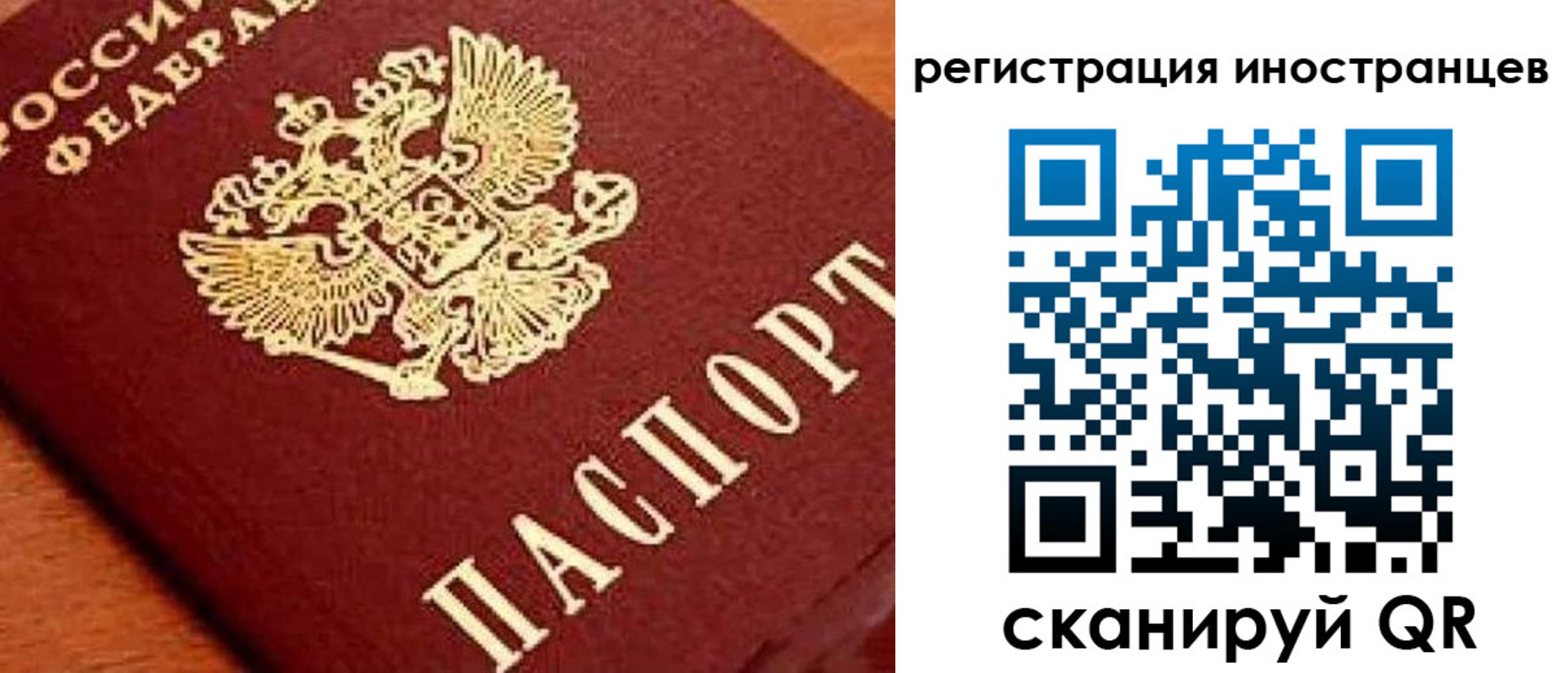 прописка для школы в Сысерти
